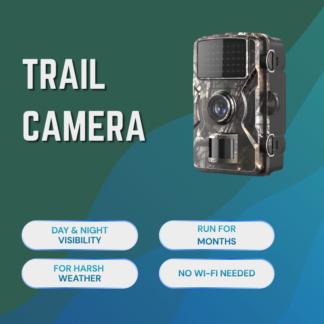 Trail Camera